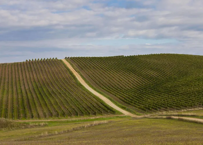 ファームステイ Casale Dello Sparviero カステッリーナ・イン・キアンティ シエナ